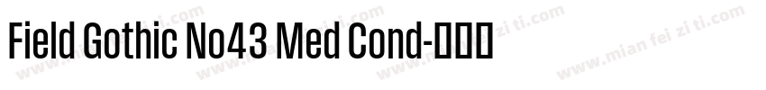 Field Gothic No43 Med Cond字体转换